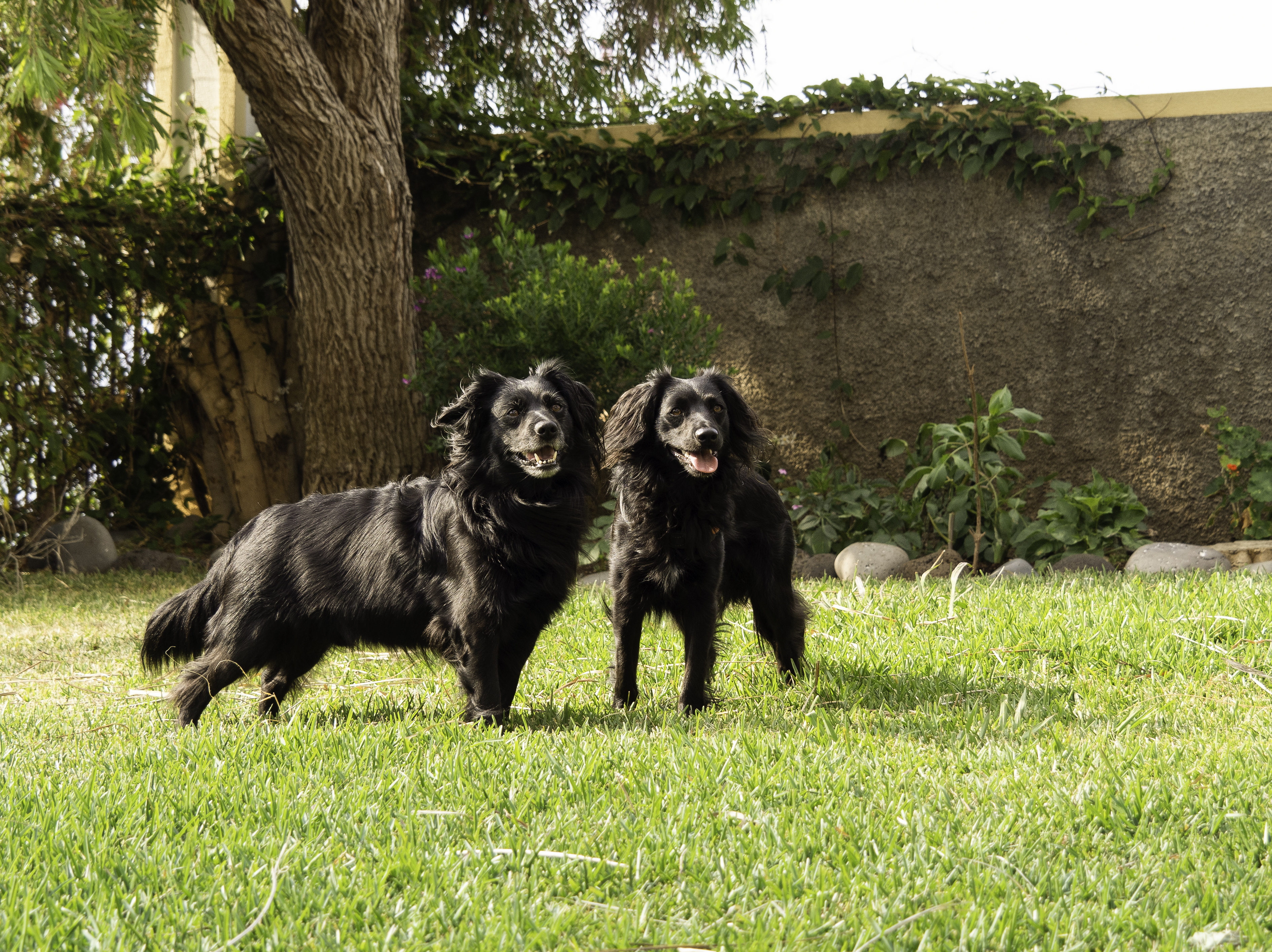 Onze Markiesjes Floyd & Fynn