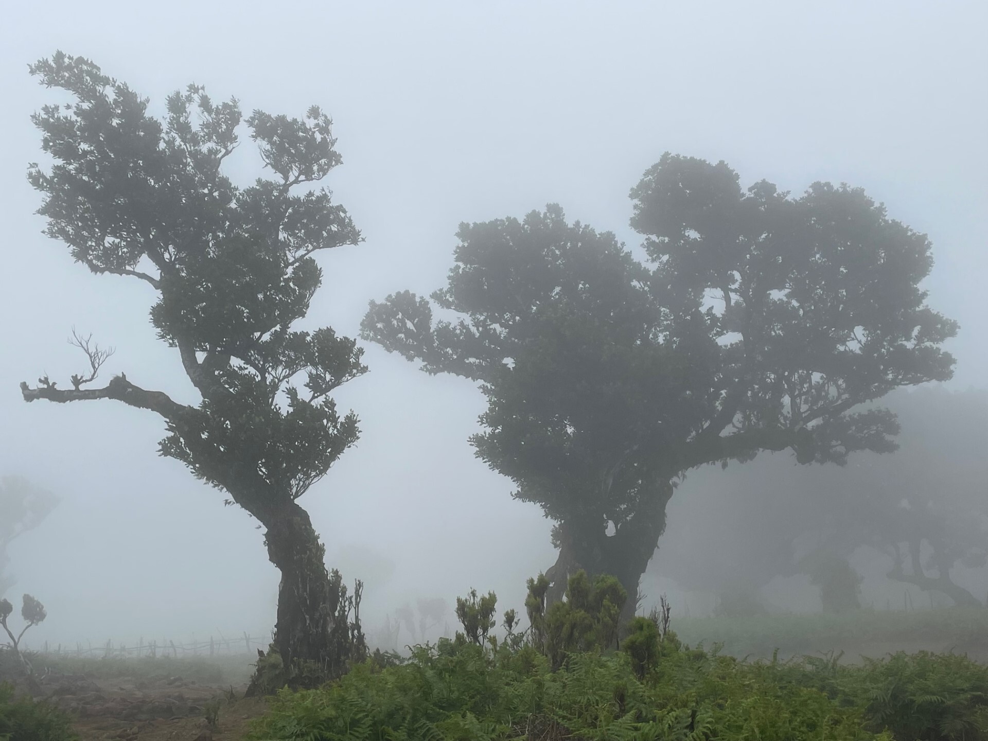 thumbnail_IMG_5107.jpg thumbnail_IMG_5107.jpg