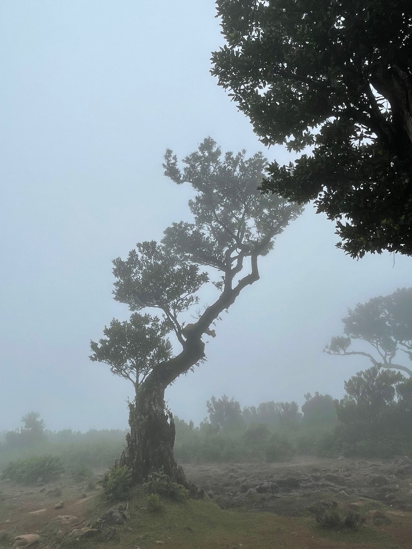 thumbnail_IMG_5111.jpg thumbnail_IMG_5111.jpg